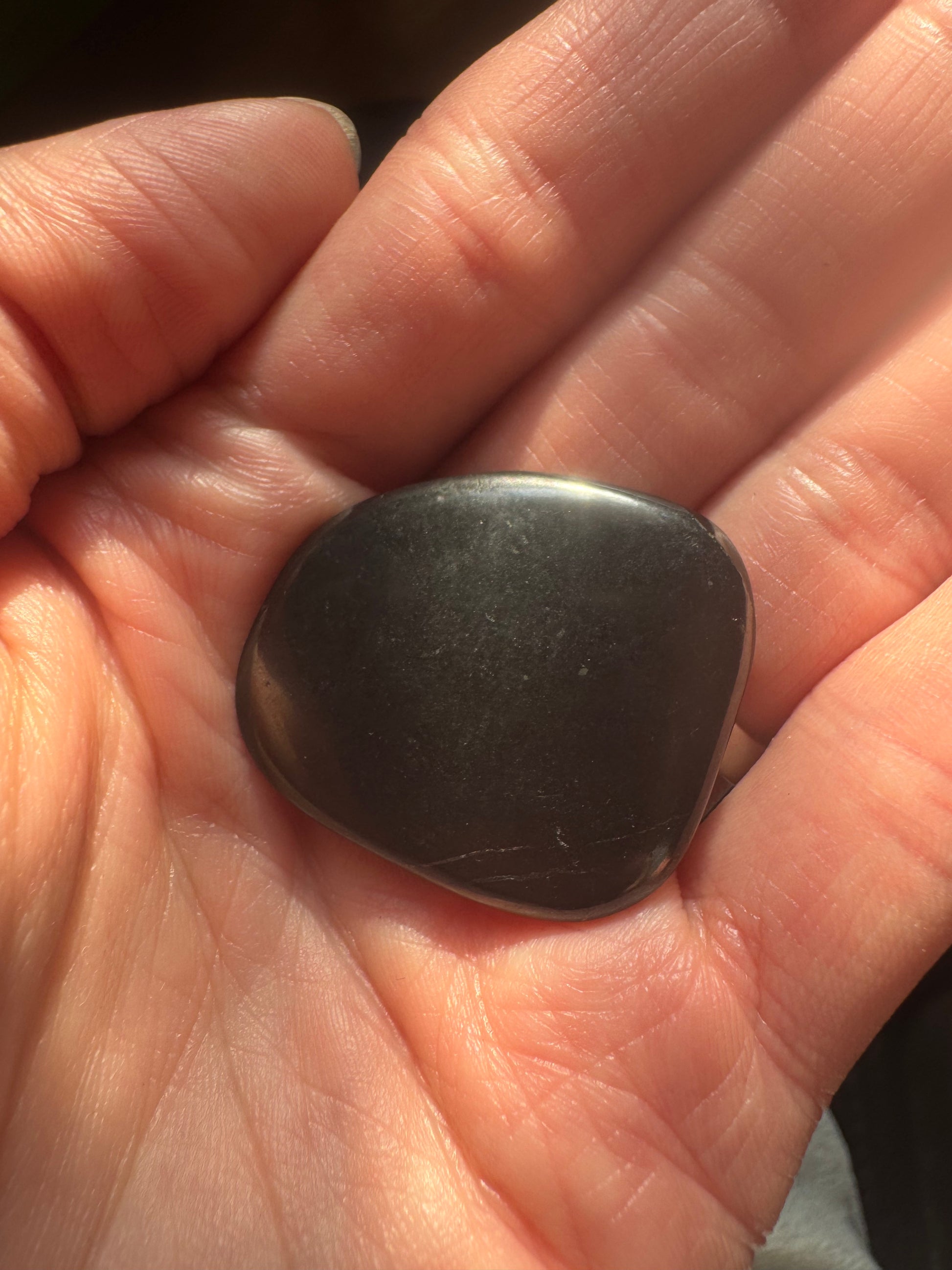 Shungite Pocket Stone